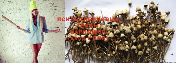 гидропоника Абинск