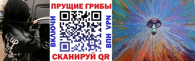 наркота  OMG как войти  Псилоцибиновые грибы Cubensis  Янаул 