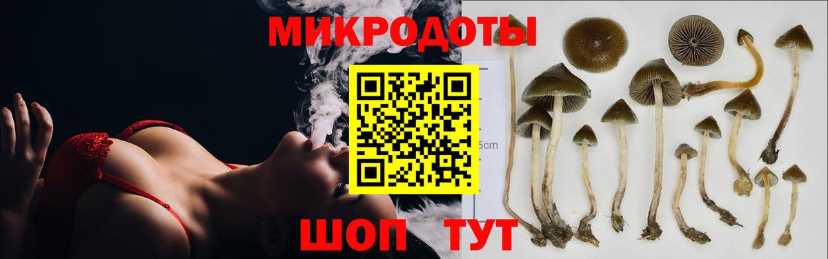 Псилоцибиновые грибы MAGIC MUSHROOMS  Вход с VPN  Янаул 