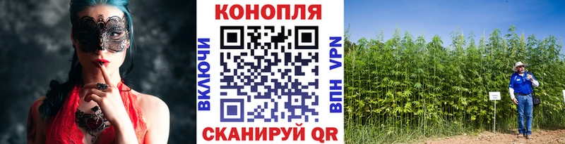 Бошки марихуана MAZAR  Янаул 